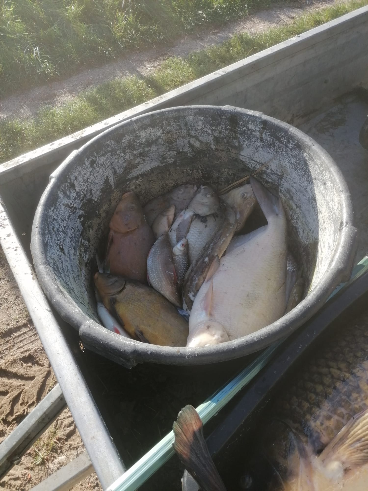 Sauerstoffmangel 2023